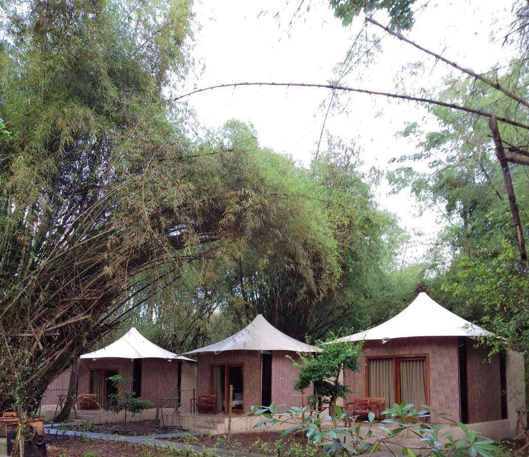Dadapan Jawa Jiwa G-Land Resort מראה חיצוני תמונה