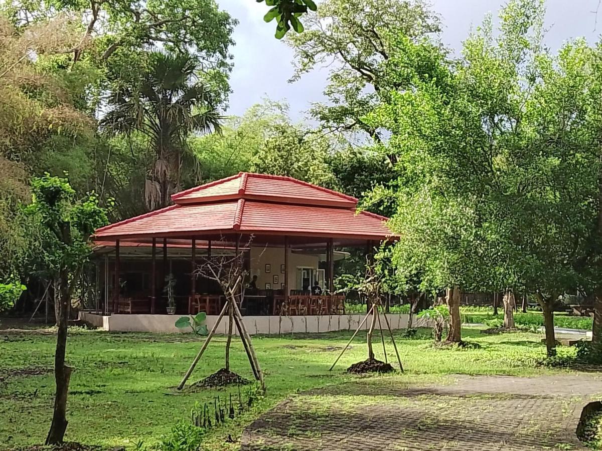 Dadapan Jawa Jiwa G-Land Resort מראה חיצוני תמונה