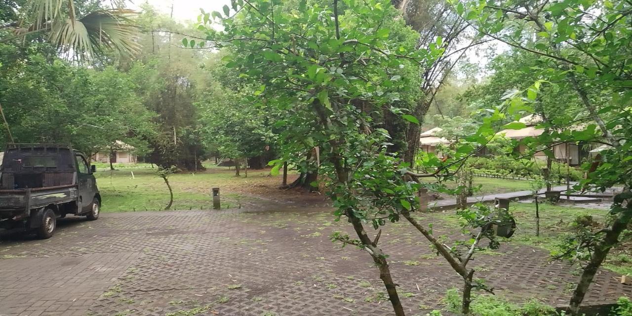 Dadapan Jawa Jiwa G-Land Resort מראה חיצוני תמונה
